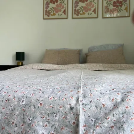Accommodatie bij particulieren Lumineuse Au Coeur De L'ile De